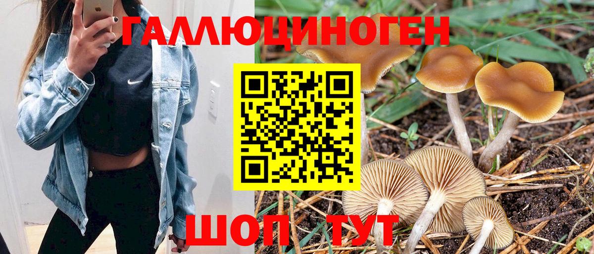Псилоцибиновые грибы прущие грибы  Вход с VPN  Муром 