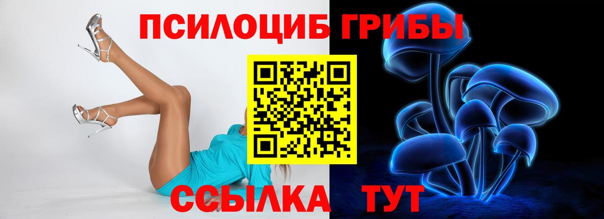 Псилоцибиновые грибы Magic Shrooms Муром